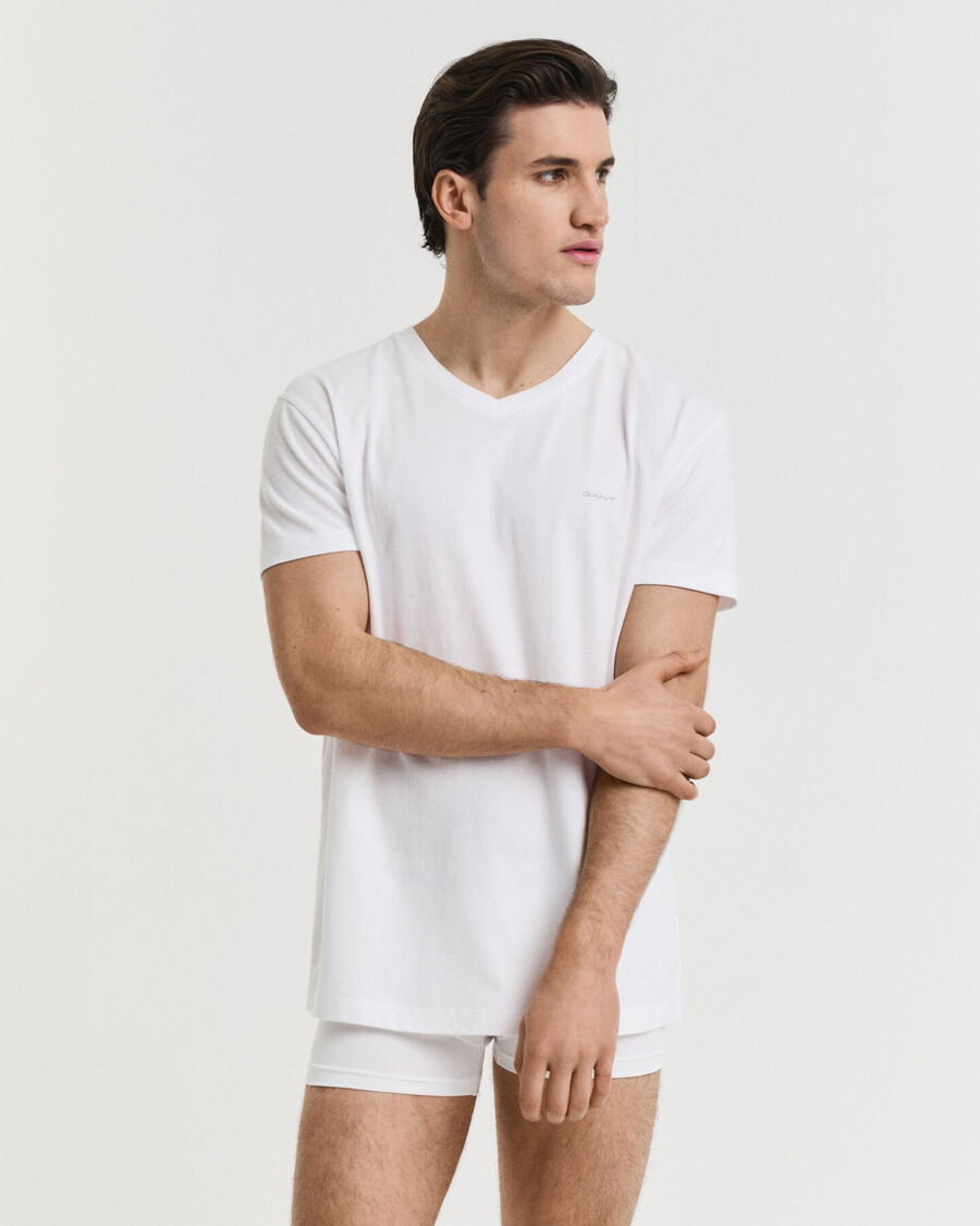 2-pack v-hals t-shirts - wit