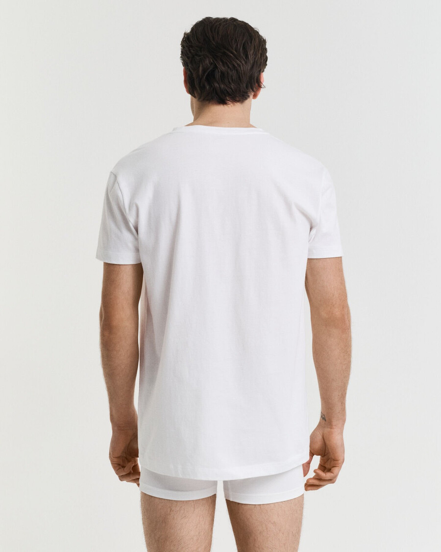 2-pack v-hals t-shirts - wit