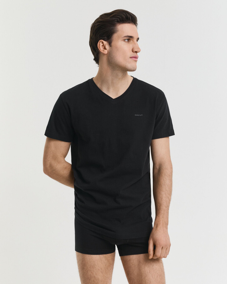 2-pack v-hals t-shirts - zwart