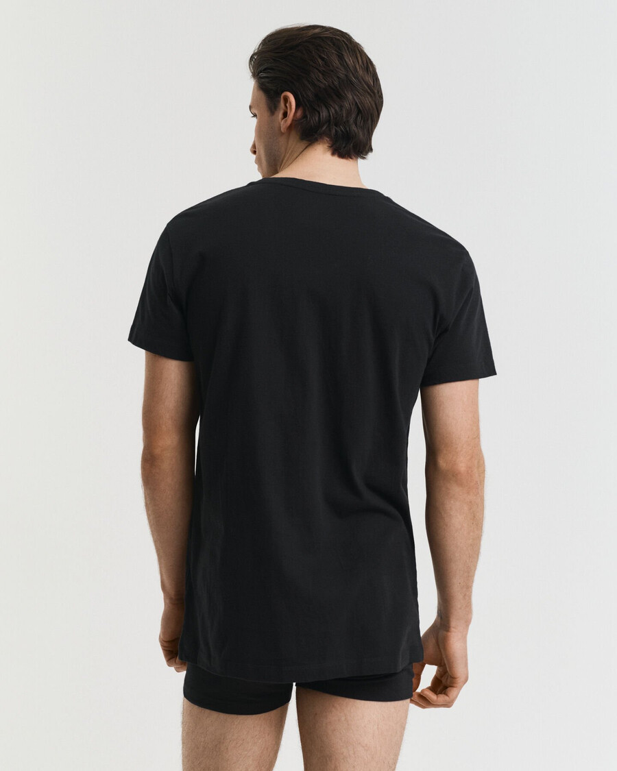 2-pack v-hals t-shirts - zwart